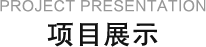 项目展示